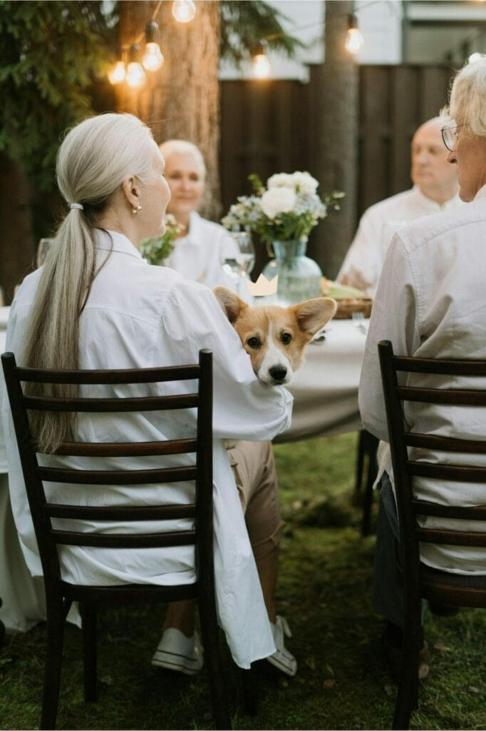 A group of older adults sit outside around a table set for a meal. One woman with long gray hair holds a corgi dog on her lap. The table is decorated with flowers, and string lights hang above.